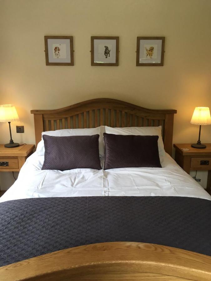 Shellow Lane Lodges Конгълтън Екстериор снимка